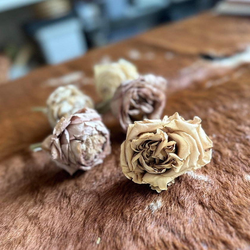 ゼロフラワー「薔薇1輪挿し&花びらセット」｜フリーズドライフラワー