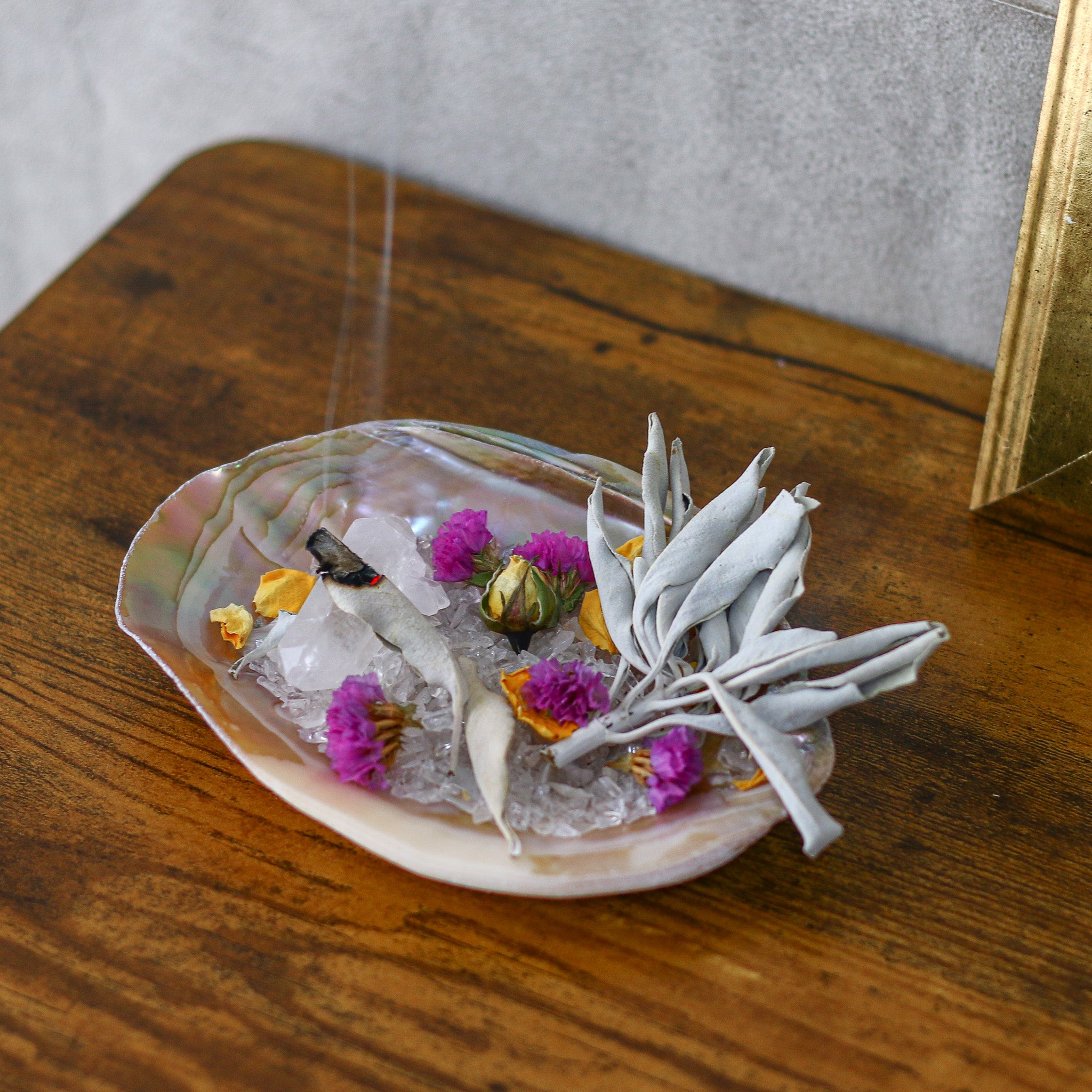 浄化作用のある神聖な香り漂う「ホワイトセージ 」天然のハーブの一種