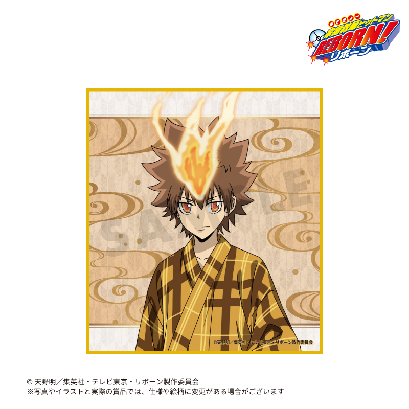 TVアニメ「家庭教師ヒットマンREBORN!」