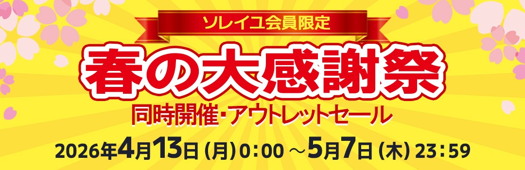 449-0248 ｢オランダ・ヒンデローペン-美しい絵付け工芸の村-｣著:宮本