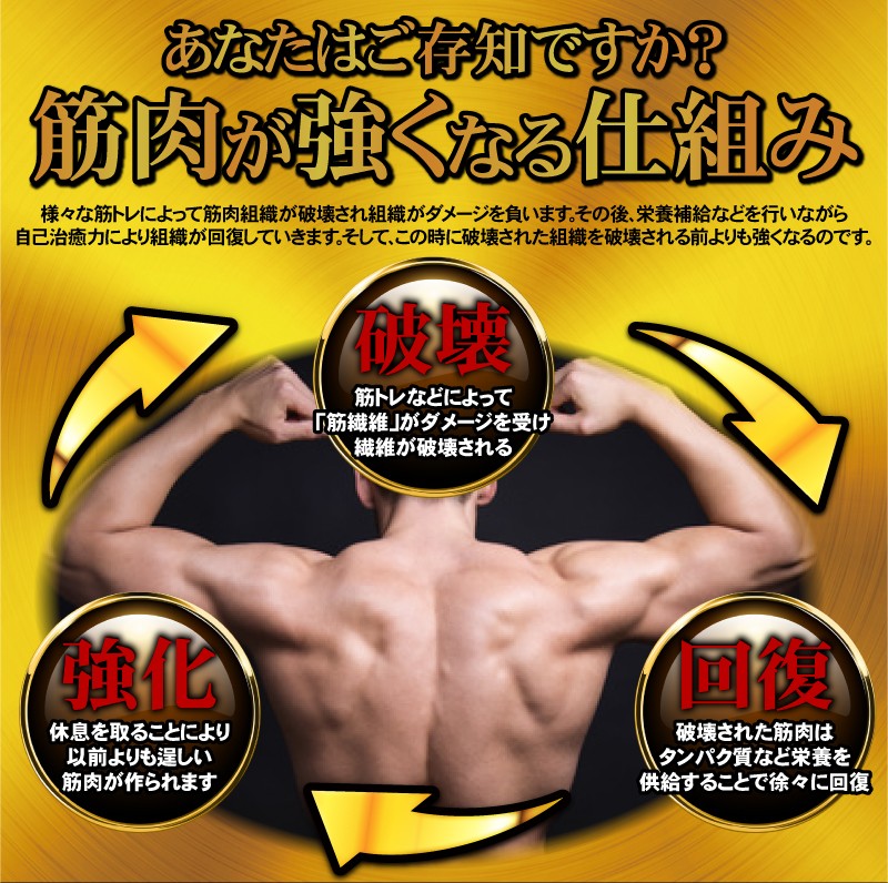 送料無料】HMB サプリメント ダイエット サプリ トレーニング ジム