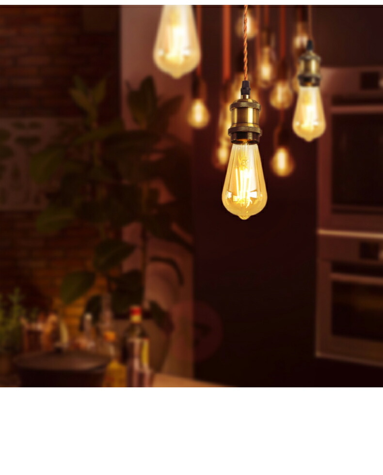 ペンダントライト E26 1灯セット LED電球付き エジソン電球 60W形相当