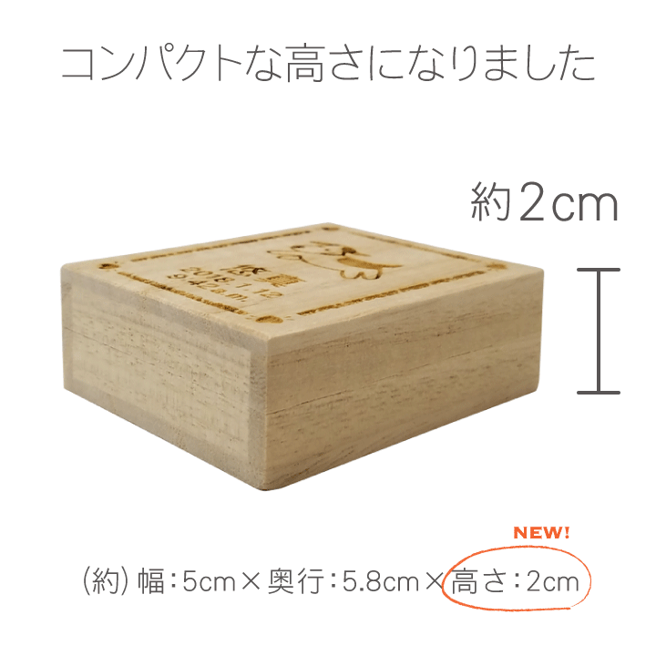 ARASE へその緒ケース 命名 HOC-05 名入れ 綿入り 乾燥剤付き 桐箱