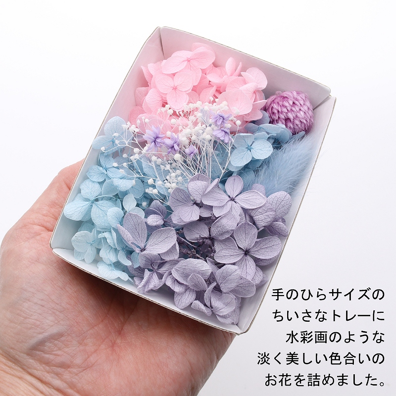 ハーバリウム花材 水彩パレット花材セット 1ケース プリザーブド