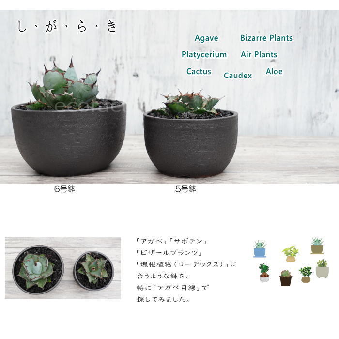 陶器鉢 植木鉢 6号 丸型 艶消し 黒 ブラック おしゃれ プランター 園芸