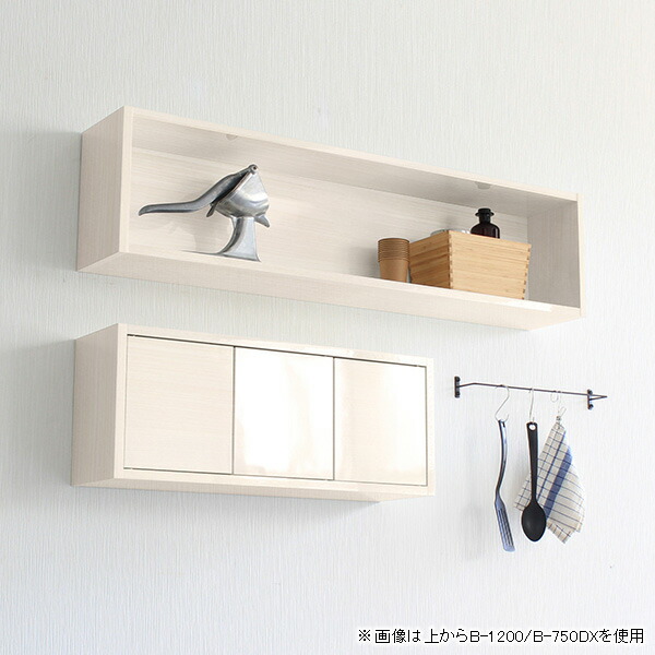 arne（アーネ） 壁掛け 収納 棚 ウォールラック 扉付き ウォール
