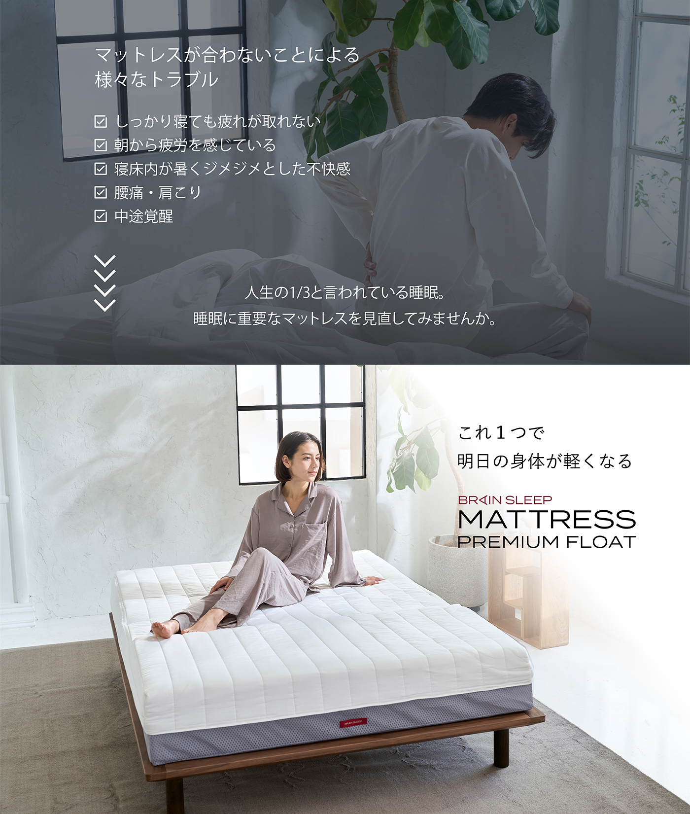 ブレインスリープ マットレス プレミアム フロート セミダブル : BRAIN