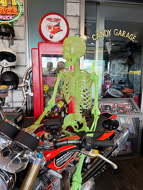 暗闇で光る！ 等身大サイズ 蓄光 ディスプレイガイコツ 150cm Lサイズ