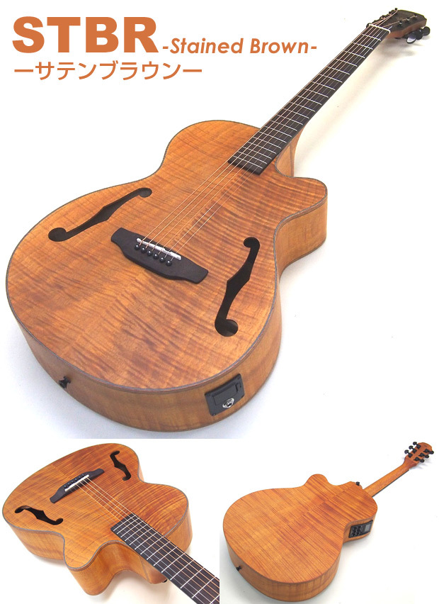 ARIA（アリア） エレアコ アコギ ARIA FET-F2 エレクトリック