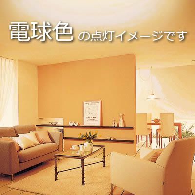 シーリングファン専門店ファズー - パナソニック／Panasonic｜Yahoo