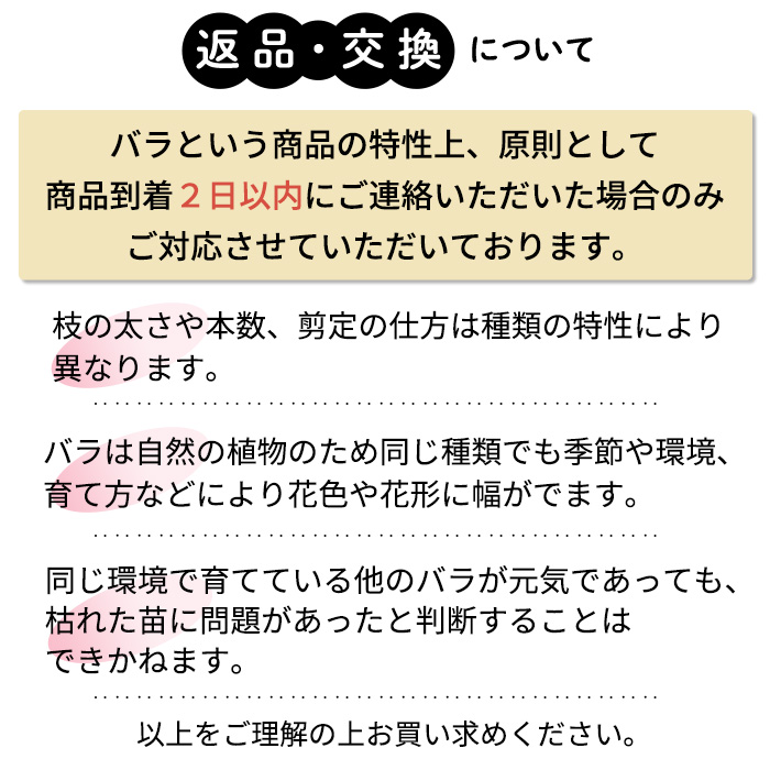 予約販売 バラ苗 バラ大苗 もこもこ 契約品種 薔薇 ばら 送料無料 国産