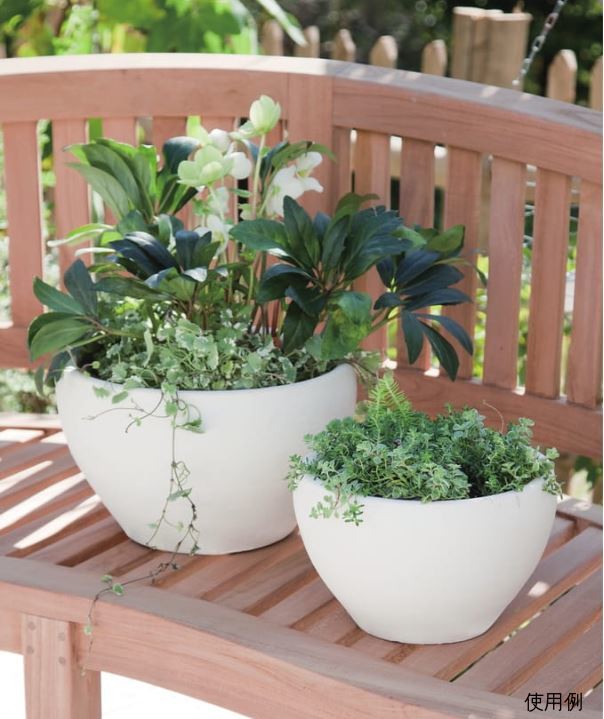 白化粧 やわらか カーブ 丸浅型 素焼き鉢 テラコッタ 鉢 大中小3個