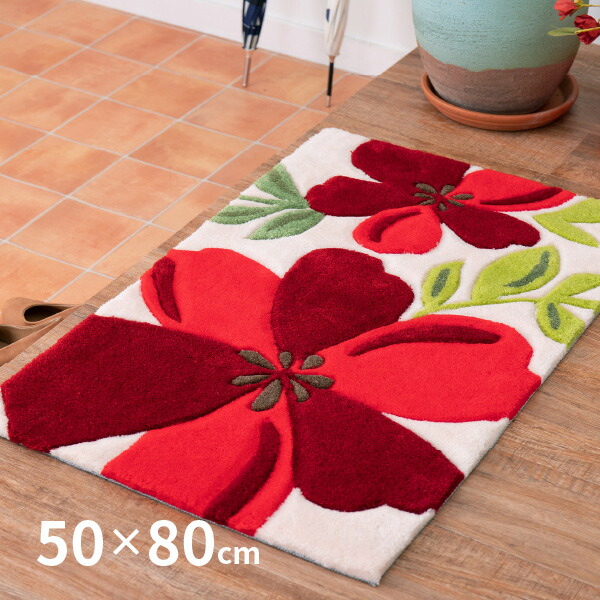 HAGiHARA（萩原） 玄関マット 室内マット 玄関 室内 マット 50×80cm