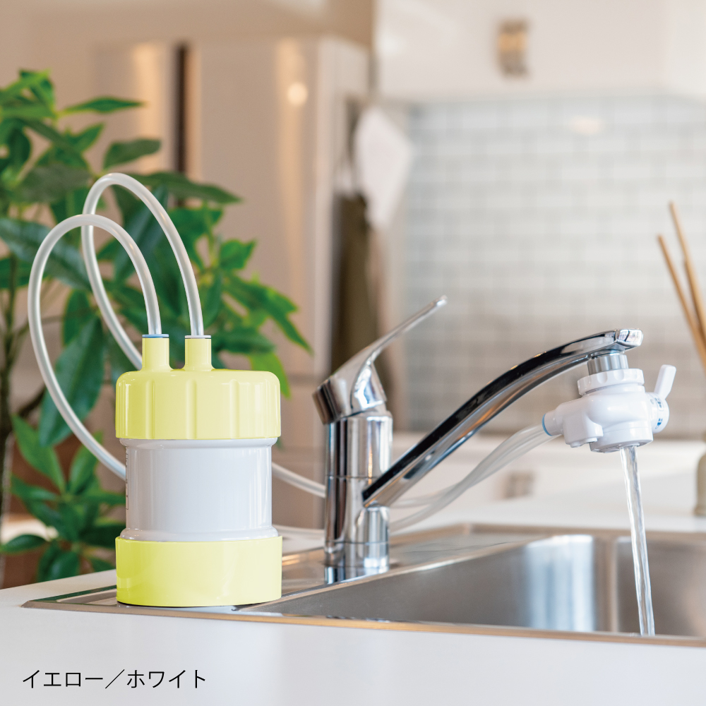 goquria-y1.jpg?size=n