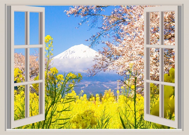 タペストリー 桜 窓枠 狩宿下馬桜 三春滝桜 山高神代桜 名所