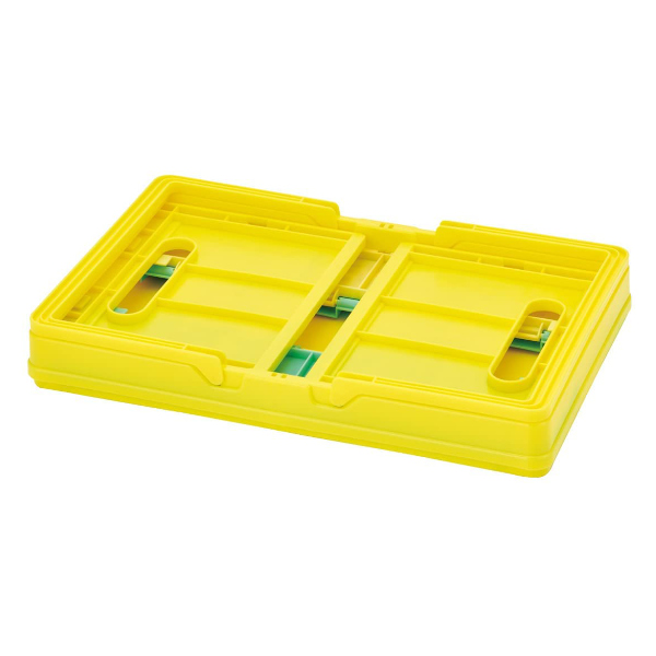 スケーター コンテナ 折りたたみ 収納ボックス ポケットモンスター