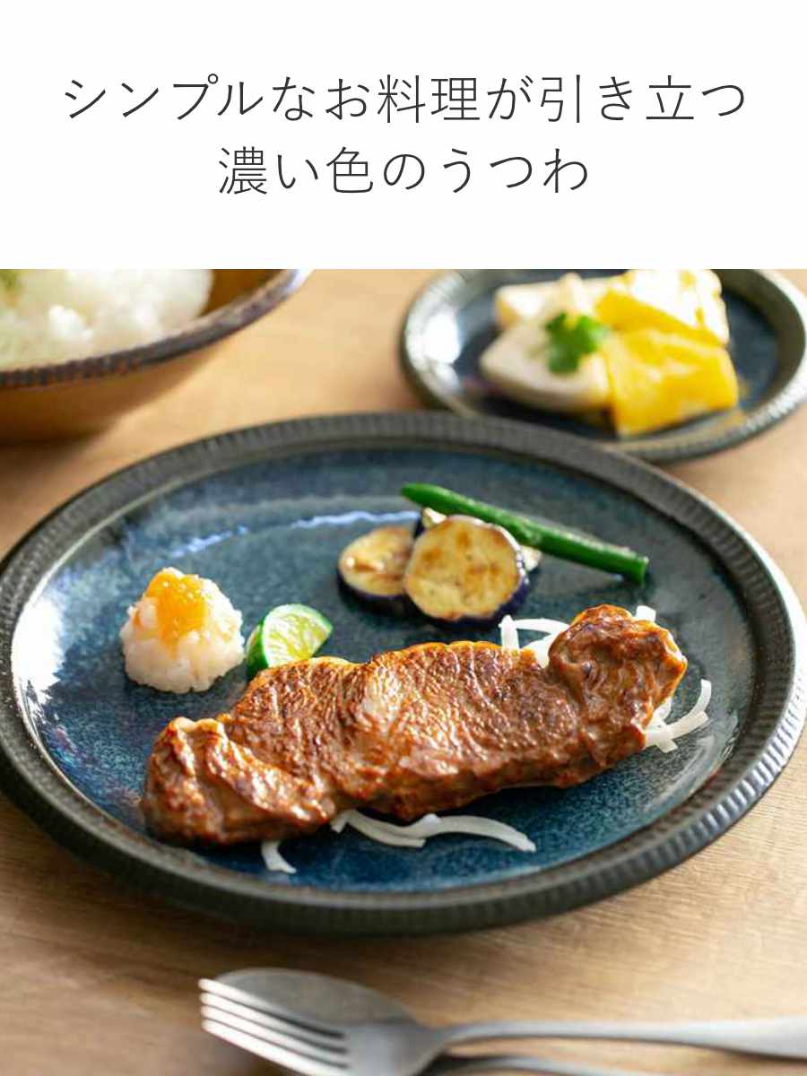 aito製作所 食器 10点セット 2色 料理を引き立てる食器セット 新生活