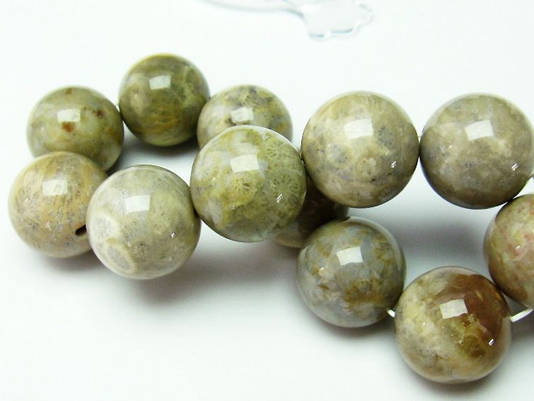 フォッシルコーラル ブレスレット 化石珊瑚 19mm [t155-1269]