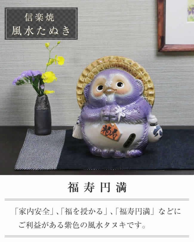 信楽焼 風水狸(紫) たぬき タヌキ 開運 縁起物 可愛い 陶器 商売繁盛