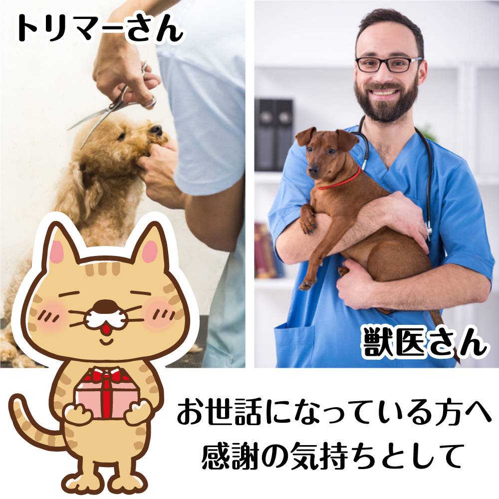 ブラザー工業 フレンチブルドッグ ネーム印 イラストはんこ 12mm 犬