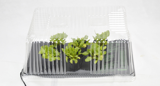 Kmaster ヒートマット 園芸マット 保温マット 植物育苗ヒーターマットL