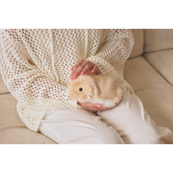 カシオ モフリンゴールド | シャディギフトモール