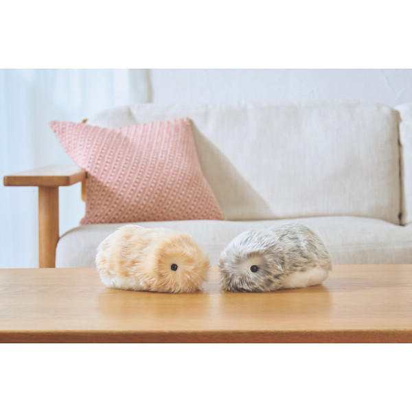 カシオ モフリンゴールド | シャディギフトモール