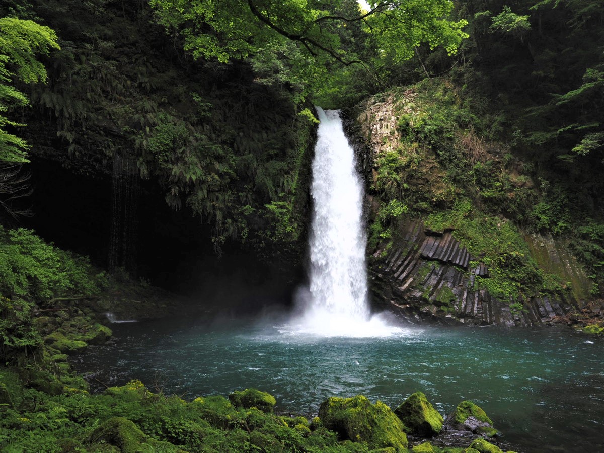 浄蓮の滝や旧天城トンネルなど。伊豆天城でノスタルジックな自然に癒や