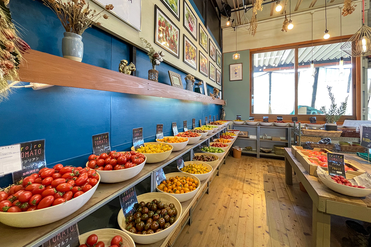 トマト農家のカラフルトマトにひとめ惚れ！『TOMIKAWA GREEN FARM