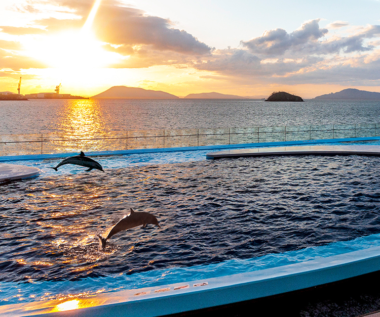 夕暮れの景｜館内のご案内｜四国水族館