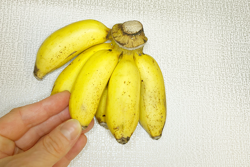 公式】島バナナが1ページでわかる総まとめ | 「島バナナ」とは | 島