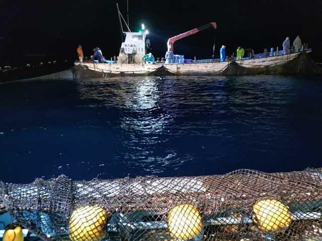 定置網乗船体験 | 下田海中水族館