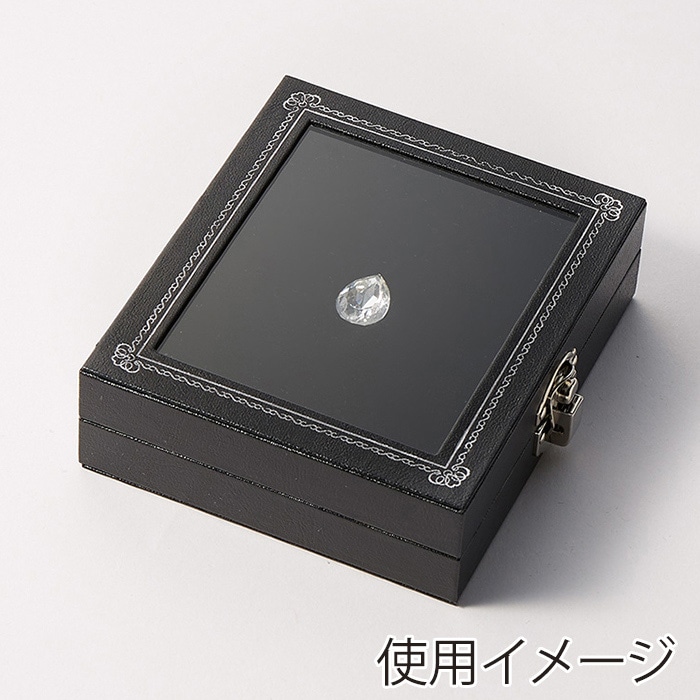 原口 ジュエリーケース ルースケース 黒 L79 1個（ご注文単位1個