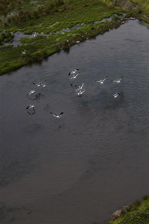 立木義浩写真展「禍福は糾える縄の如し」が10月14日より開催！ – Shuffle