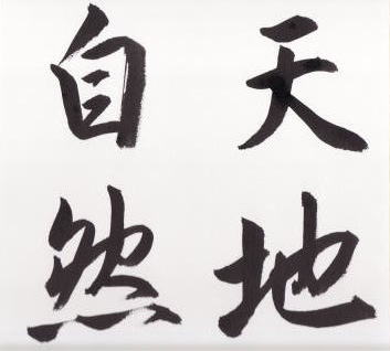 大色紙 画仙紙張 ドーサ引き - 色紙・短冊販売 色紙屋