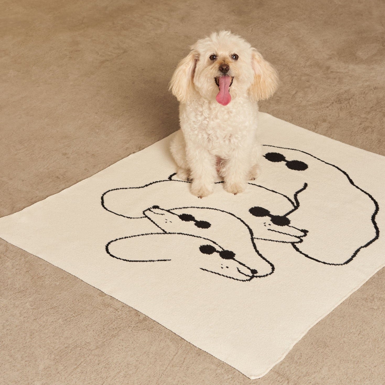 Dawgs Mini Blanket – Slowdown Studio