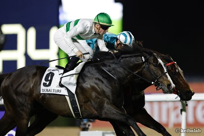 ドバイターフ】歴史的大接戦！ソウルラッシュが香港の英雄を下し海外G1