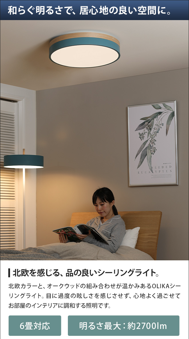 OLIKA LED CEILING LIGHT | セレクトショップ・AQUA（アクア）