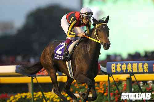 天皇賞(秋)】ブエナビスタが堂々の勝利！2着はペルーサ | 競馬ニュース