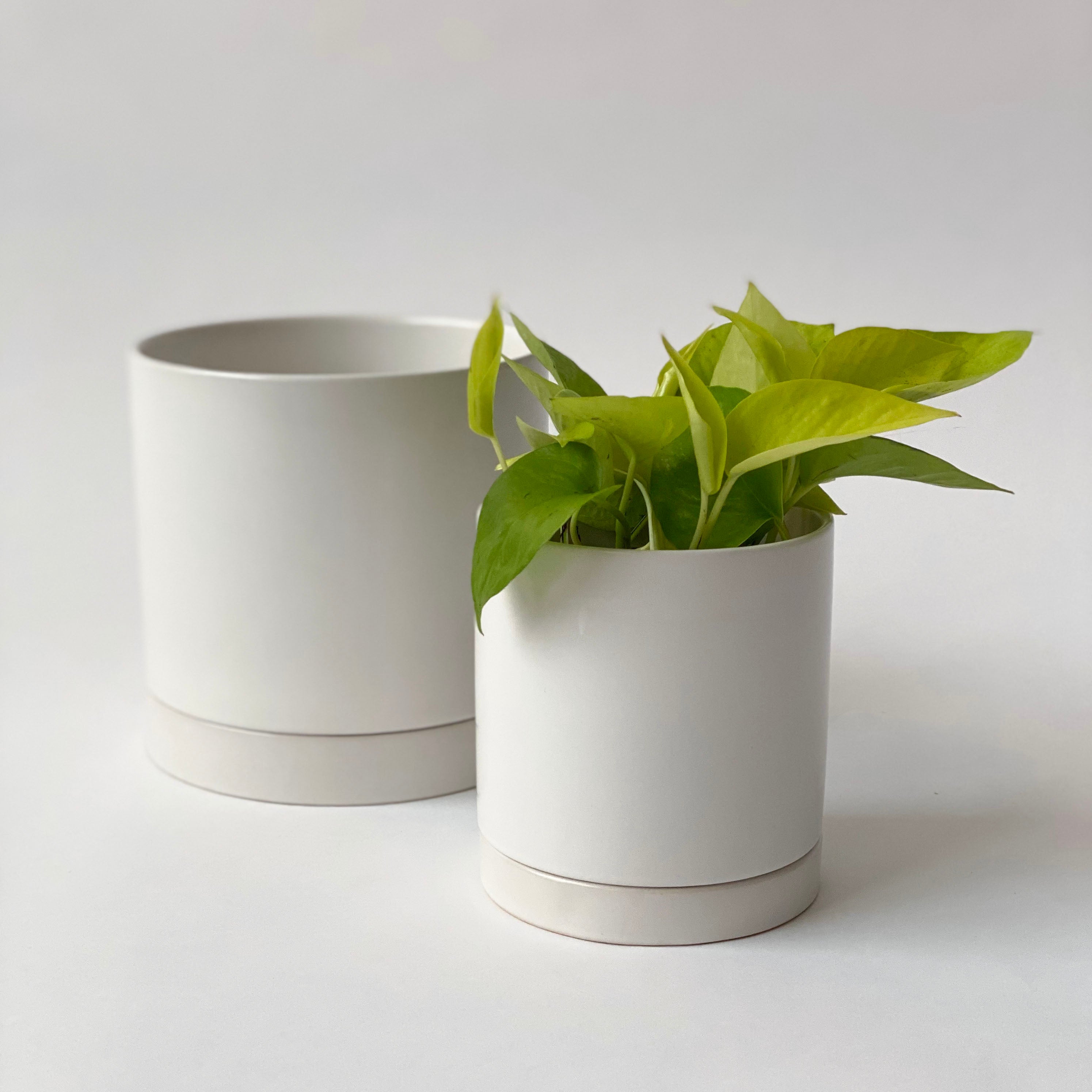Ceramic Potting Pots & Planters - Spruce Flowers and Events