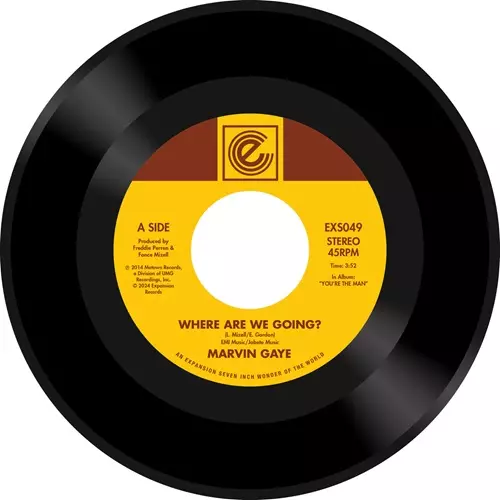 MARVIN GAYE / マーヴィン・ゲイ商品一覧｜ディスクユニオン