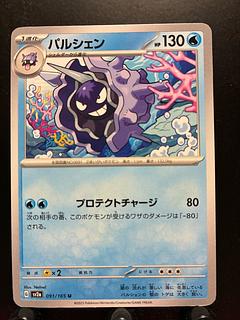 パルシェン」の激安通販 | magi