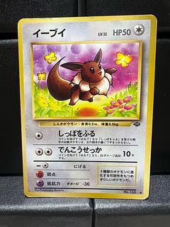 旧裏 イーブイ」の激安通販 | magi