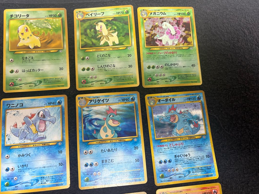 旧裏 バクフーン オーダイル メガニウム 進化過程付き セット売り