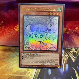 マルチャミー フワロス」の激安通販 | magi