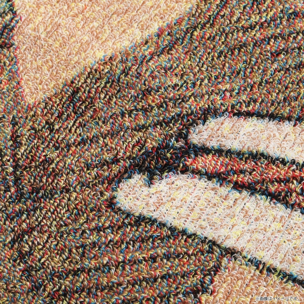 ワンピース】五彩織りビッグタオル ＜手配書(ゾロ)＞: 雑貨｜東映