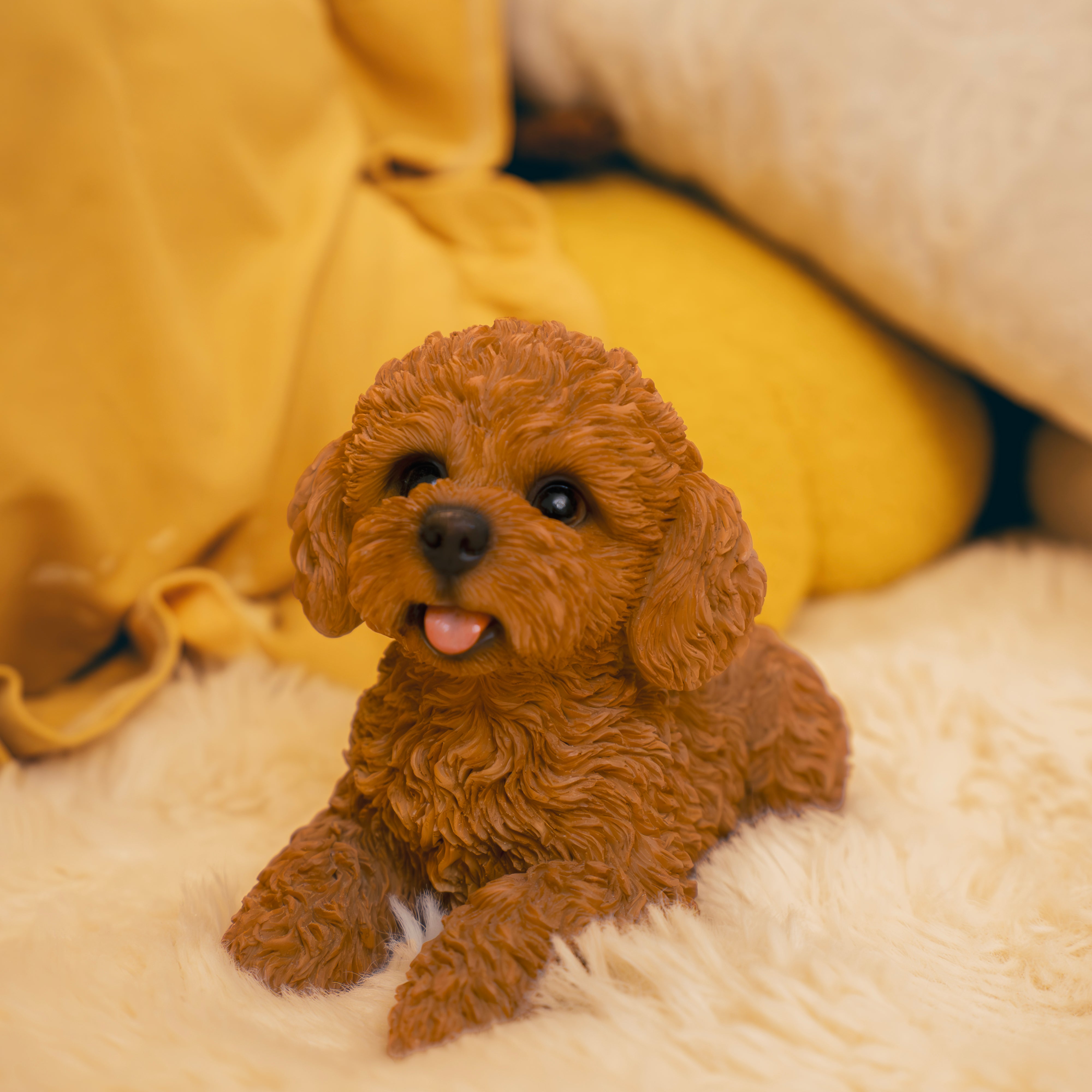 見上げるトイプードルレッド｜WooBia公式オンラインショップ – WooBia