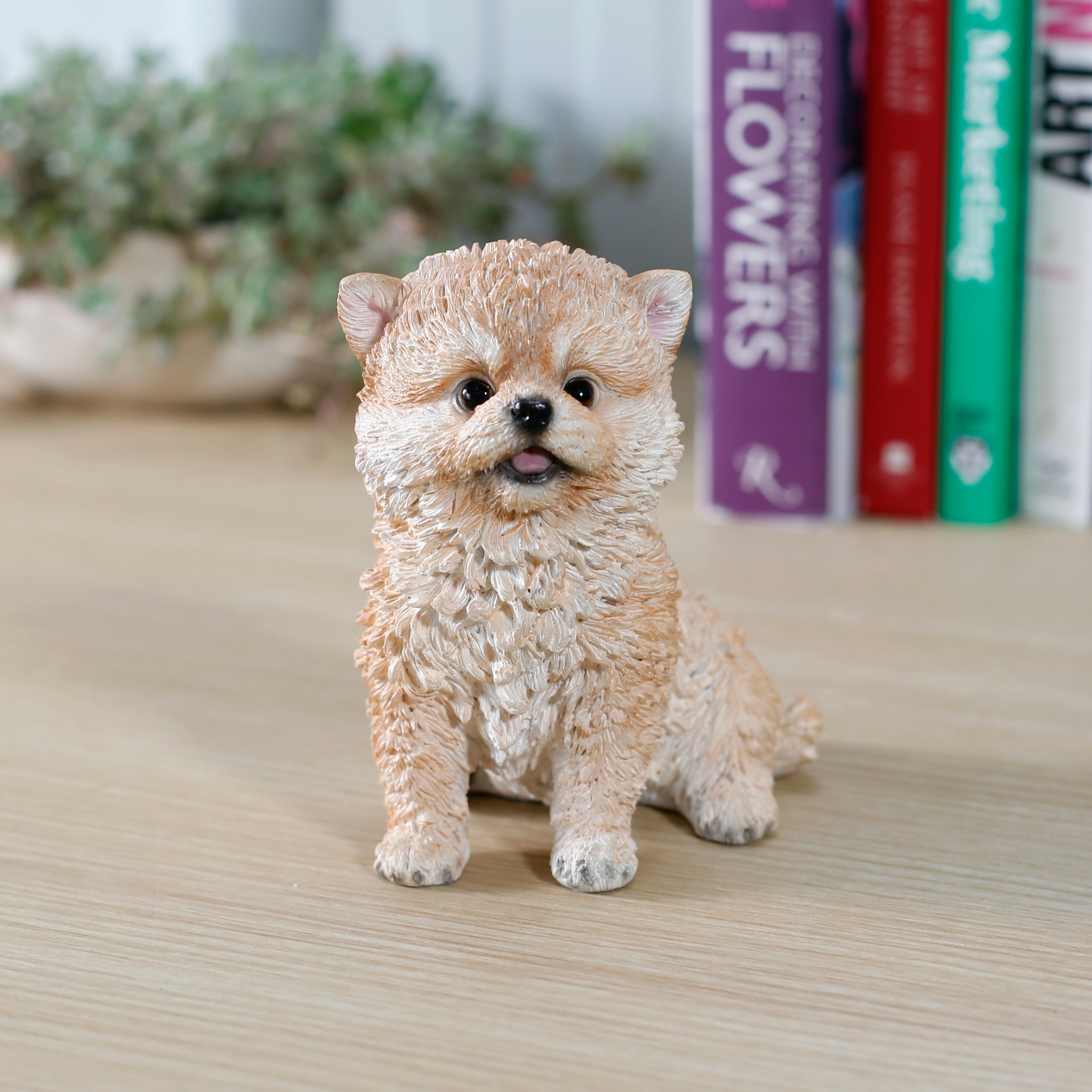 頭を上げるポメラニアン｜WooBia公式オンラインショップ – WooBia