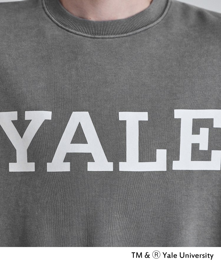 YALEロゴスウェット（スウェット・トレーナー） | tk.TAKEO KIKUCHI