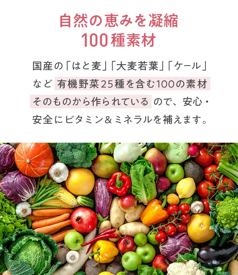 Yoganic Life ヨギーニフード100 ストロベリー: 美容・健康LAVA公式